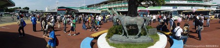 DSC01116_pano.jpg