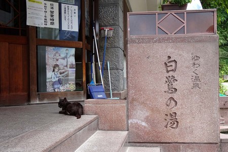 DSC04026.jpg