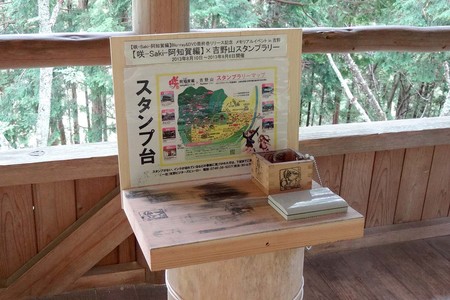 DSC05384.jpg