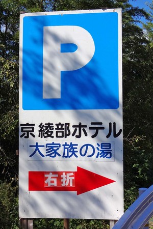 DSC06091.jpg