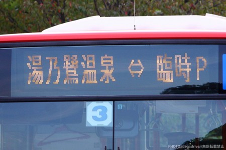 IMG_2110_1500.jpg