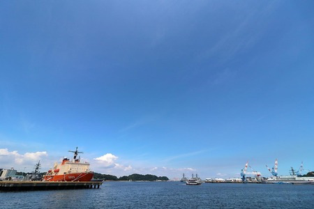 IMG_4441.jpg
