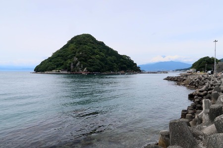 IMG_5100.jpg