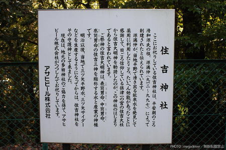 IMG_6876_1500.jpg