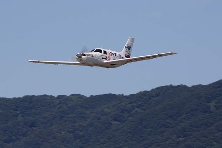 IMG_8564.jpg
