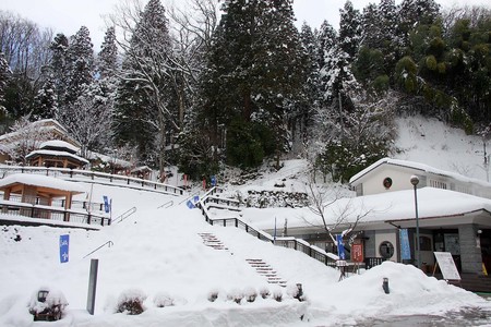 IMG_9487.jpg