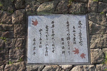 IMG_9683.jpg
