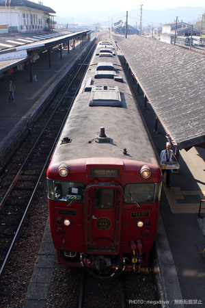 IMG_9778.jpg